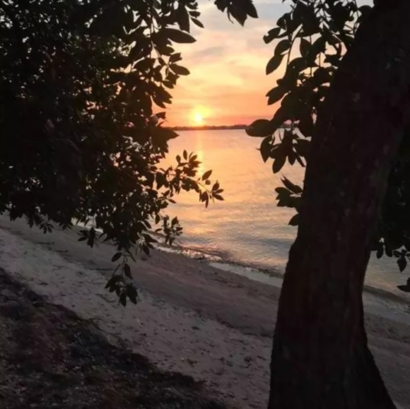 🦋OFFERS WELCOME 🌺 - Picture 3 of 3